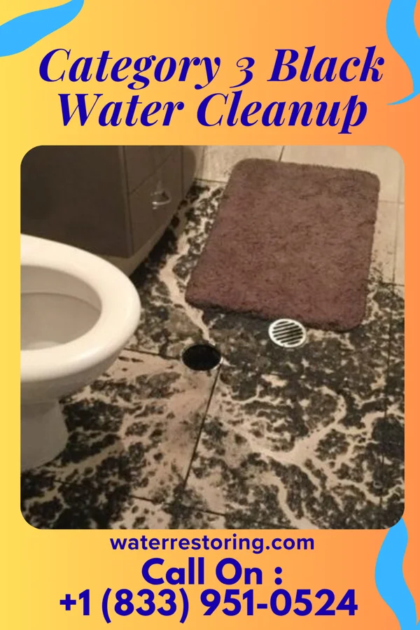 Category 3 Black Water Cleanup in Parsons, KS
