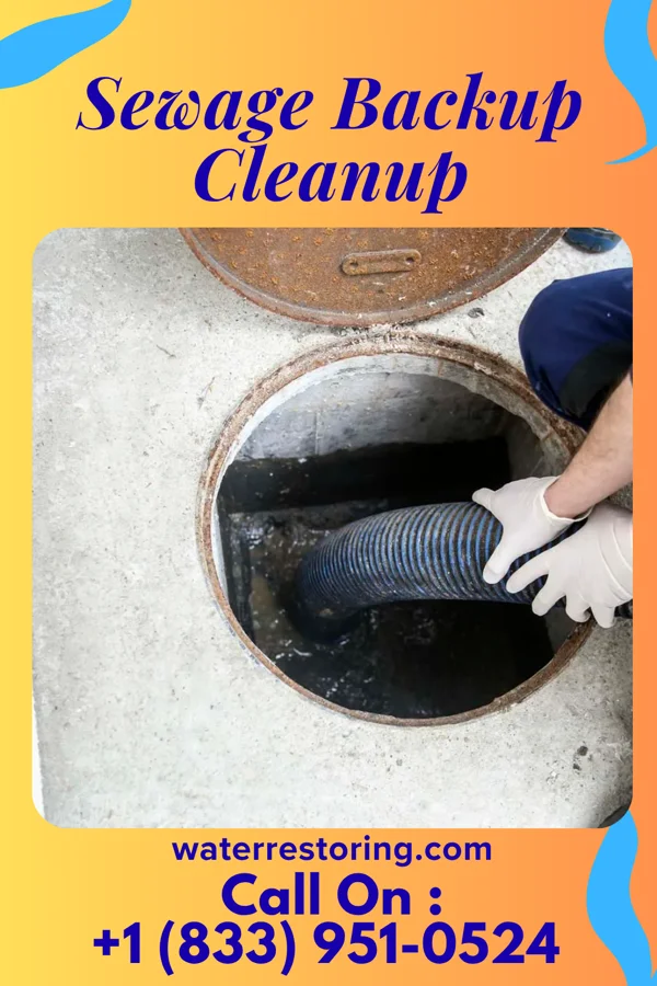 Sewage Backup Cleanup in Parsons, KS