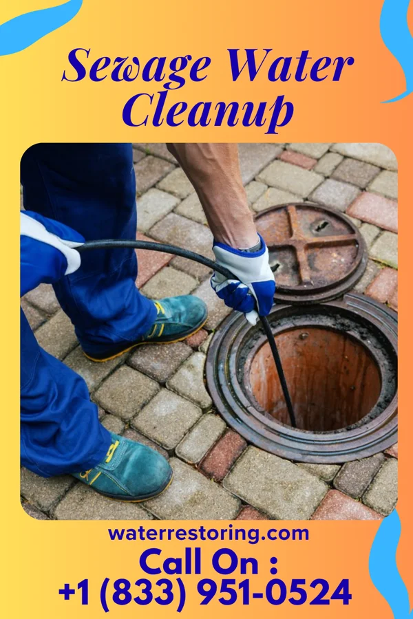 Sewage Water Cleanup in Parsons, KS
